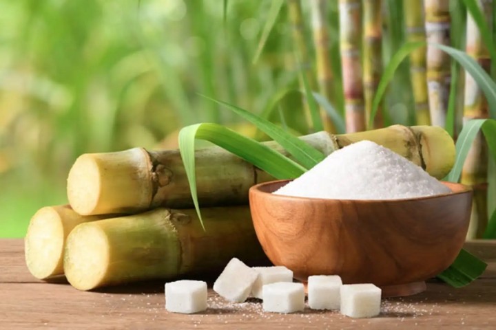 Tin tức demo mia đường miền bắc 1